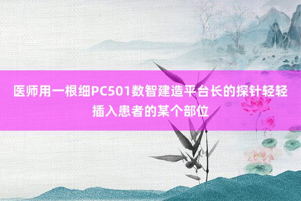 医师用一根细PC501数智建造平台长的探针轻轻插入患者的某个部位
