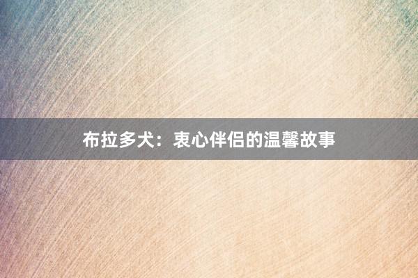 布拉多犬：衷心伴侣的温馨故事